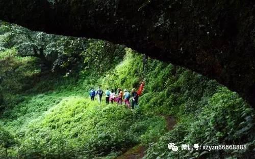 逃离宽敞的健身房